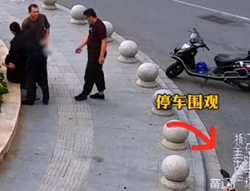 古代吃瓜有风险