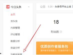 头条小店推广有什么要求,掌握这些要求，轻松提升店铺曝光与销量
