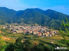 平阳县大马村新闻头条,乡村振兴新篇章，大马村焕发新活力