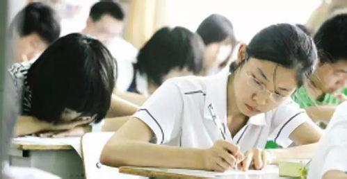 瓜沥二中高雨婷老师,教育路上的耕耘与启迪