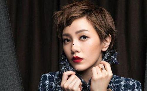 性郭的明星,揭秘性郭明星的璀璨人生