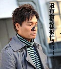 姓言的明星,闪耀娱乐圈的璀璨星辰