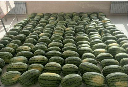 石棉2022吃瓜新闻,吃瓜群众热议的年度新闻盘点