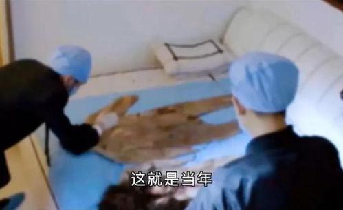 扒皮夫人在线观看,揭秘网络红人的真实面目