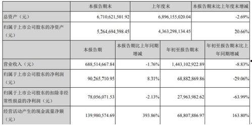 启明星辰 财务报告,业绩稳健增长，未来可期