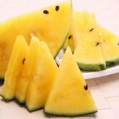 哪里可以吃小野的瓜,探寻小野瓜的神秘食源之旅