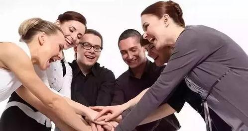 晓航团队爆料视频,揭秘视频背后的精彩瞬间