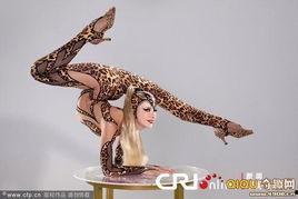 知名柔术明星,揭秘柔术明星的辉煌之路