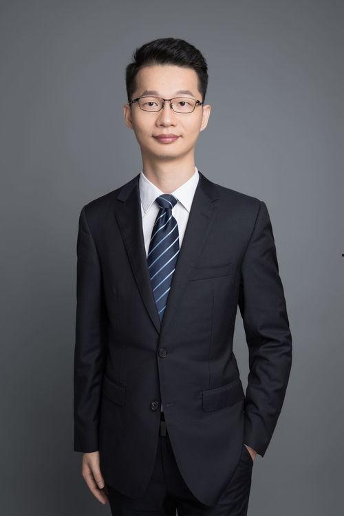 刘志辉明星,星光璀璨的影视新星，演绎人生百态