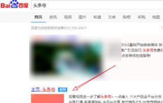 头条小店哪里买东西,一站式购物，尽享便捷生活