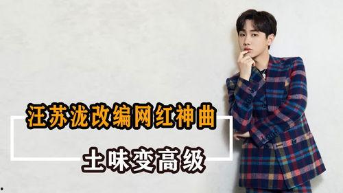 网红歌手八大神曲,网红歌手的爆款音乐传奇