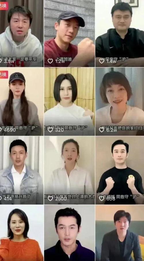 明星呼吁视频,共筑美好未来——公益视频传递正能量