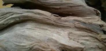 怎么看山料好坏,山料品质鉴别的秘诀解析