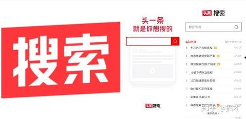 怎样搜头条,如何利用搜索引擎高效搜索头条新闻