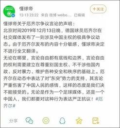 明星国籍言论集锦,明星国籍言论集锦解析