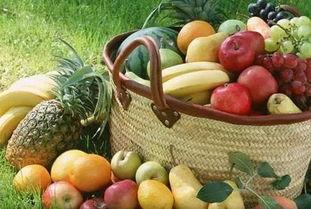 吃瓜补津液吗,吃瓜也能补津液？揭秘瓜果的润燥养生之道