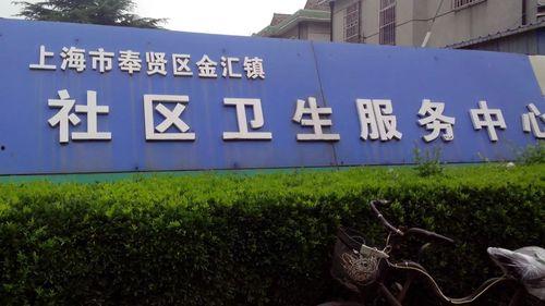 金汇镇今日头条,聚焦发展新动态，共绘美好未来画卷