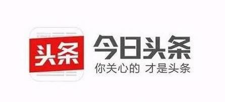 头条科技有什么功能,全方位功能解析，解锁智能生活新体验”