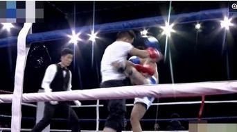 散打冠军明星,搏击场上的传奇风采