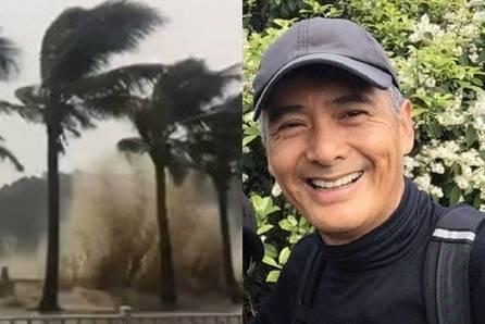 台风天明星,风雨中的璀璨之光