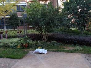 昆明星泉湾,自然与人文交融的休闲胜地