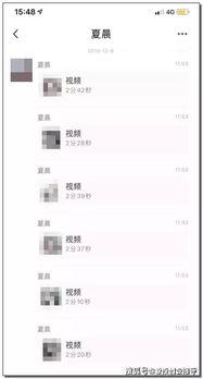 网络视频平台的网红分析,网络视频平台上的魅力与影响力