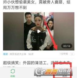 头条的收藏合集在哪里,一键生成个性化内容概览
