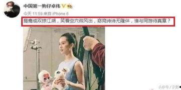 卓伟爆料刘诗诗视频,真相揭秘引网友热议