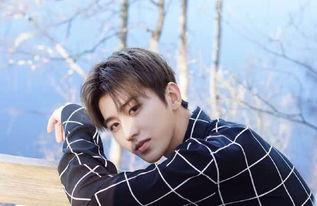 坤明星,闪耀舞台的璀璨星辰