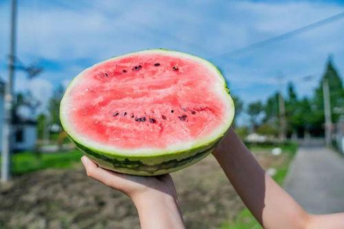 网红小鱼新吃瓜,揭秘娱乐圈最新热点事件