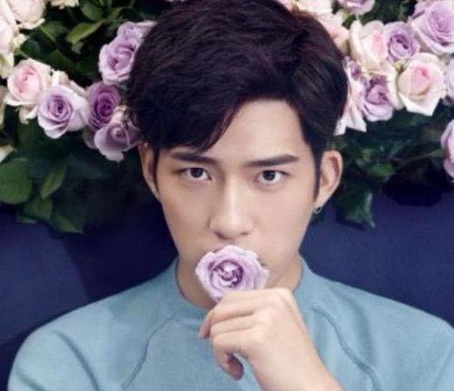 明星得甲癌,明星甲癌启示录