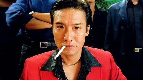 老大哥 明星,闪耀舞台背后的故事与魅力