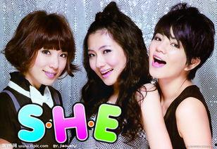 明星卡片摆放图片欣赏