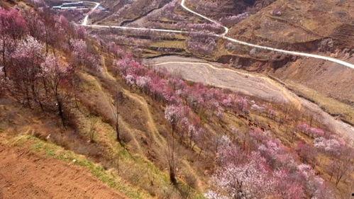 网红宕昌县视频,宕昌县网红视频带你领略山水田园之美