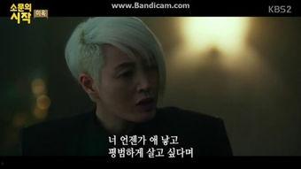 四级剧情在线观看,揭秘在线观看的悬疑世界