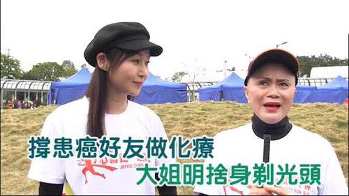 香港光头老明星,岁月流转中的传奇风采