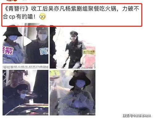 肖战杨紫路人被爆料视频,真相与争议并存
