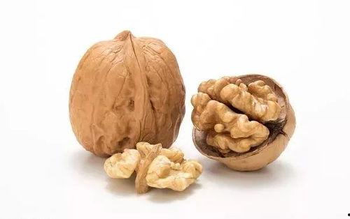 核桃世界网红同款玩具,网红玩具揭秘与热销背后的故事