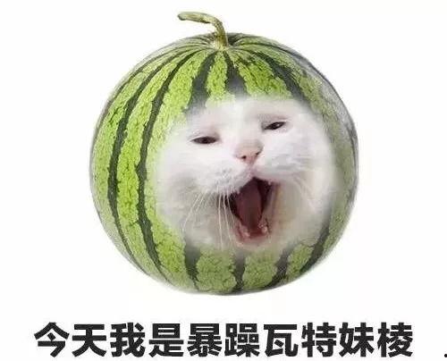 吃瓜小说完结暴躁,暴躁女主的逆袭传奇