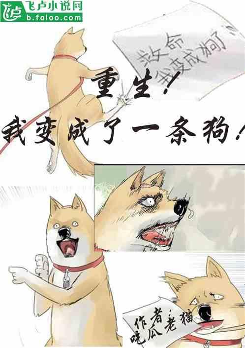 重生快乐吃瓜的小说免费阅读,吃瓜群众逆袭记