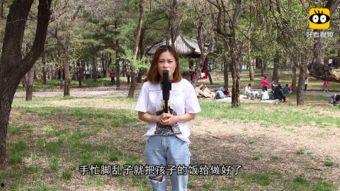 捡垃圾大妈网红视频大全,环保行动背后的感人故事